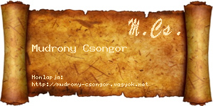Mudrony Csongor névjegykártya