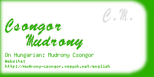 csongor mudrony business card